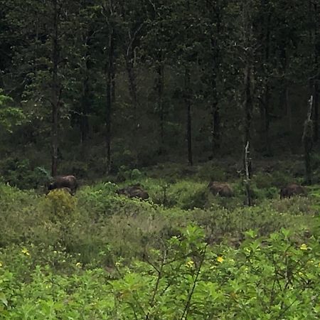 Lotus Jewel Forest Camping Sultan Bathery Εξωτερικό φωτογραφία